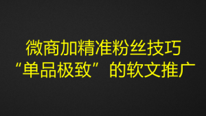 微商加精准粉丝技巧,“单品极致”的软文推广-欢迎访问本站