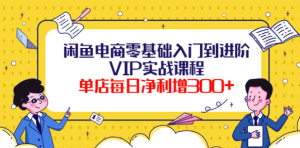 闲鱼电商零基础入门VIP实战课程，单店每日净利增300+（37节课）-欢迎访问本站