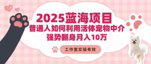 最新冷门蓝海项目：利用活体宠物中介强势翻身月入10万25玩法-欢迎访问本站